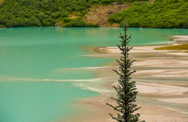 Dettagli di Lake Louise in Canada