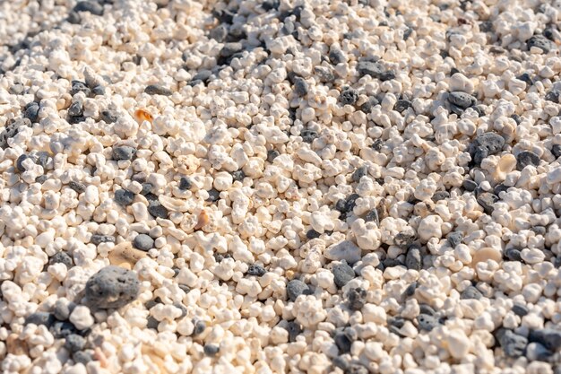 Dettagli di Popcorn Beach vicino alla città di Corralejo, a nord dell'isola di Fuerteventura, Isole Canarie. Spagna