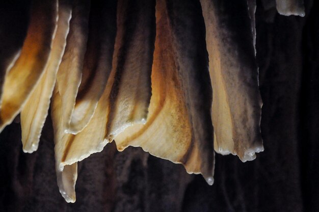 Dettagli di stalattiti all'interno delle grotte di Jenolan vicino a Sydney in Australia