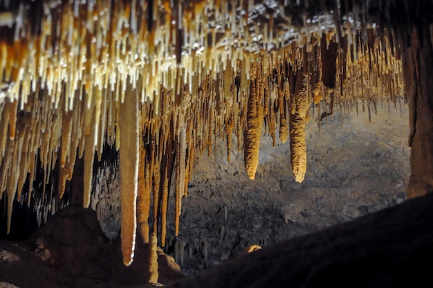 Dettagli di stalattiti all'interno delle grotte di Jenolan vicino a Sydney in Australia