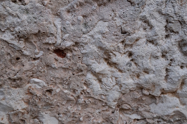 dettaglio del muro di pietra