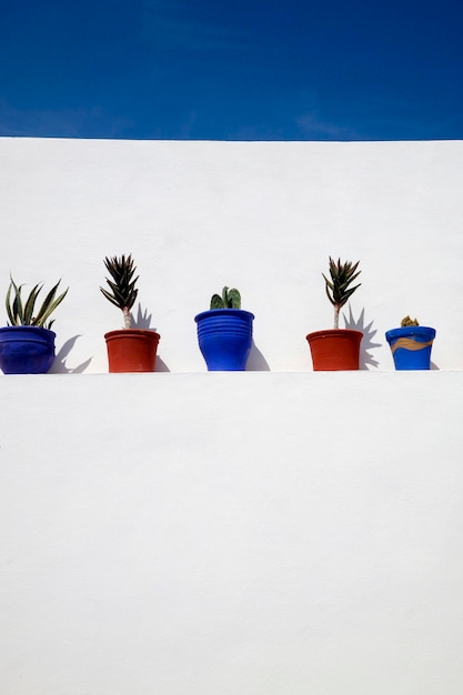 Dettaglio del Riad a Essaouira