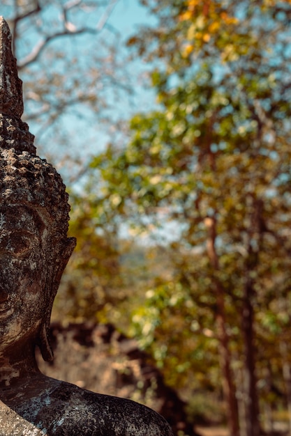 Dettaglio del ritratto antico della scultura di Buddha con lo spazio verde della copia della natura.