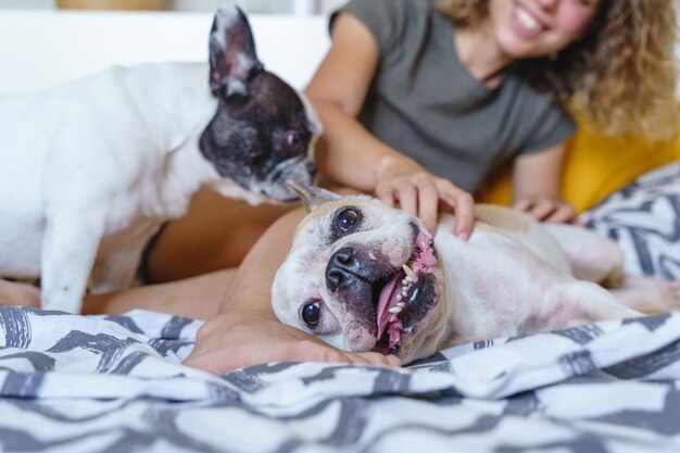 Dettaglio della bava del bulldog francese a letto. Donna irriconoscibile che si prende cura dei cani a casa.