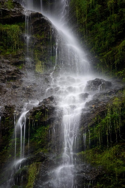 Dettaglio della cascata nella foresta Stagione nebbiosa nella gola di Partnach vicino a GarmischPartenkirchen Baviera Germania