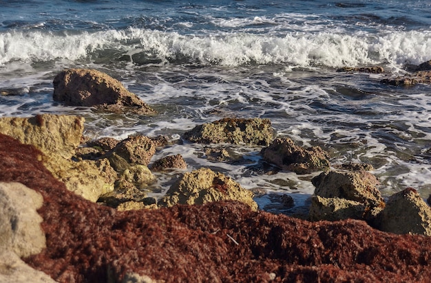 Dettaglio delle onde del mare che si infrangono sulla costa rocciosa in Messico #3