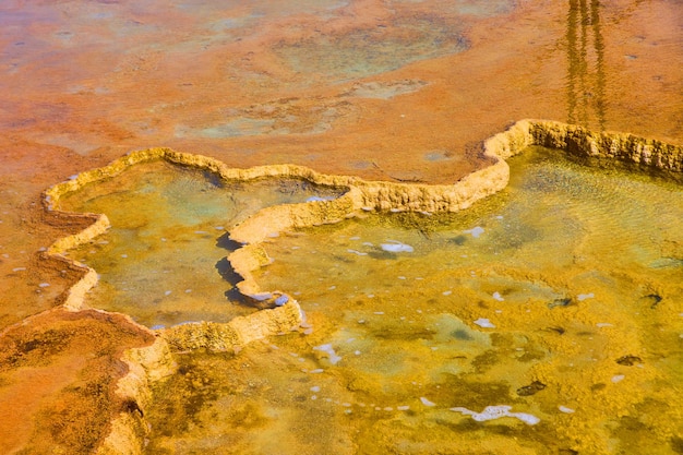Dettaglio Yellowstone di terrazze termali