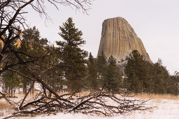 Devils Tower Wyoming Inverno Neve Rock Butte