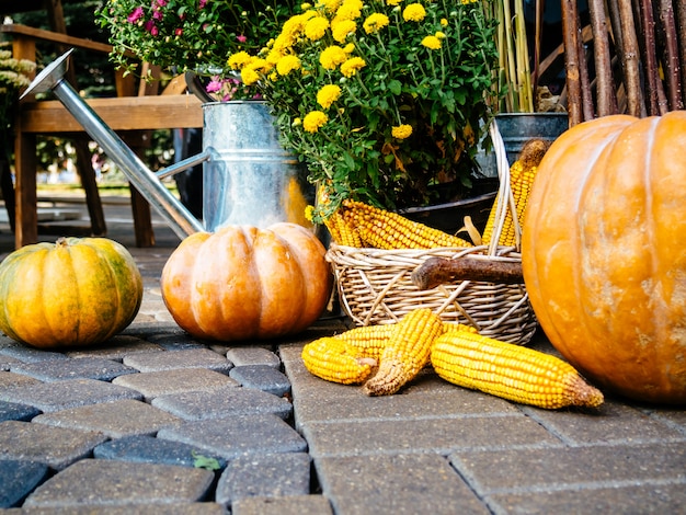 Di autunno vita ancora con verdure e fiori