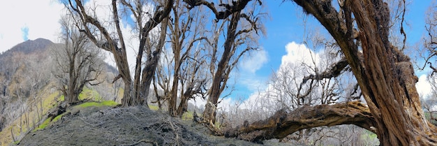 di fronte al vulcano Turrialba.