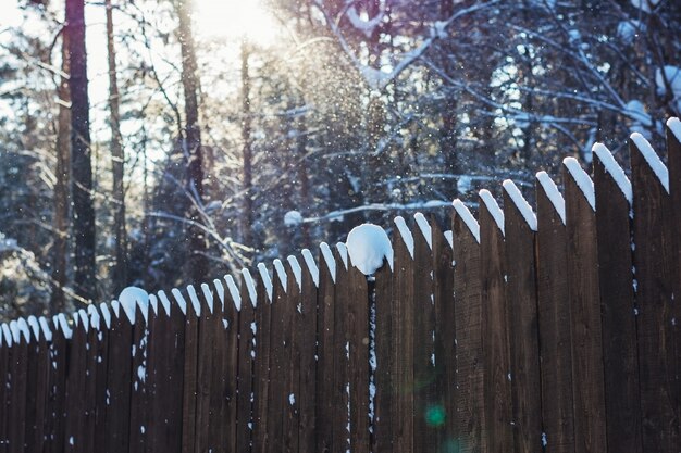 Di legno recintano un'abetaia in inverno