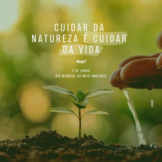 Dia mundial do meio ambiente cuidar da natureza e cuidar da vida 5 di giugno 1