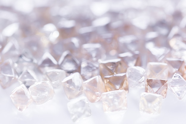 Diamanti naturali trasparenti nella macro su bianco