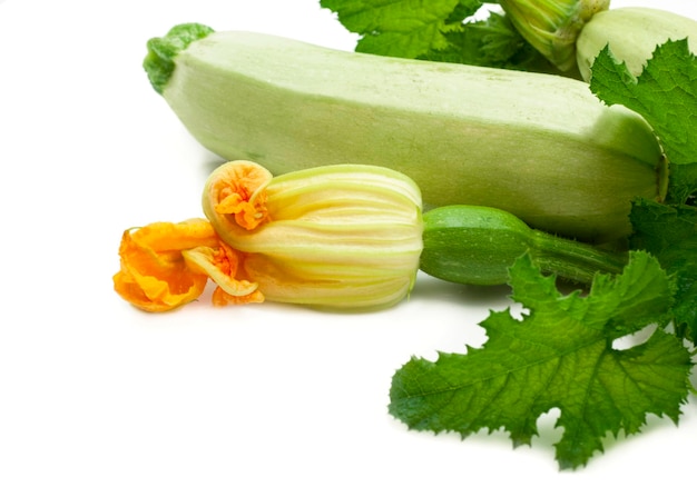 Dieta alimentare vegetarismo Fiori foglie e frutti di giovani zucchine verdi isolati su sfondo bianco