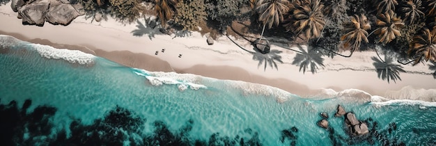 Dimensioni BHanner Vista dall'alto splendida vista aerea delle palme sulla spiaggia sabbiosa Paesaggio tropicale onde di acqua blu generano ai