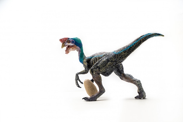 Dinosauro blu di Oviraptor su fondo bianco