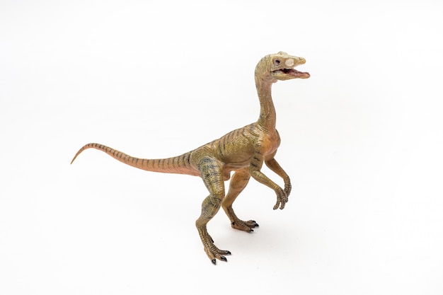 Dinosauro di Compsognathus su fondo bianco