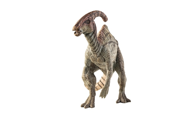 Dinosauro Parasaurolophus su sfondo bianco.