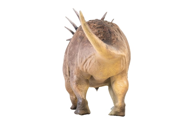 Dinosauro Styracosaurus sullo sfondo isolato