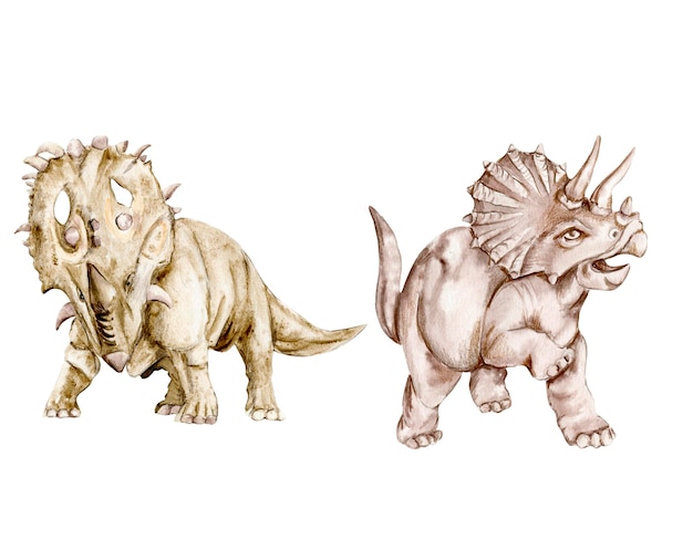 Dinosauro tropicale disegnato a mano ad acquerello Dinosauri carini dipinti a mano