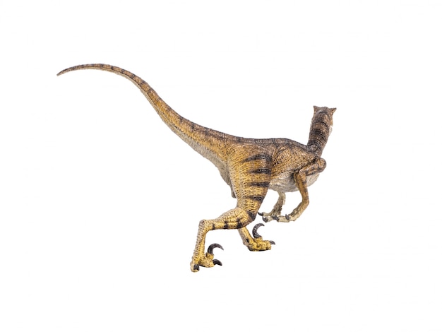 Dinosauro Velociraptor