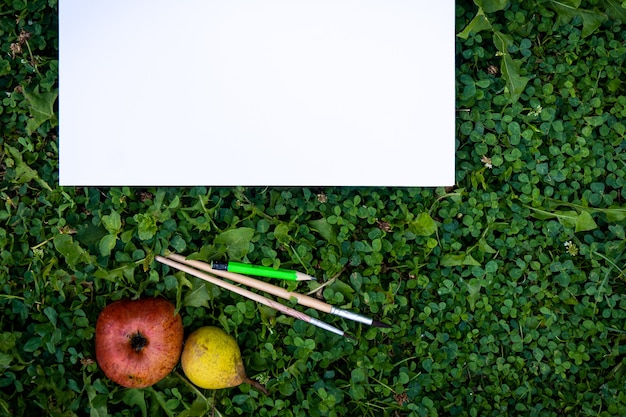 Dipinge pennelli un foglio di carta bianco su un'erba di trifoglio verde. Pere fresche mele sull'erba vista dall'alto