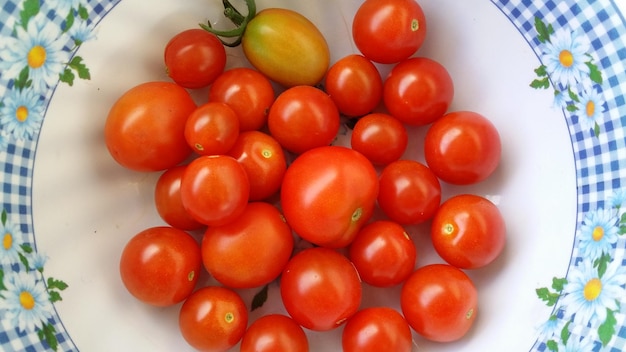 Direttamente sopra il colpo di pomodori in piatto