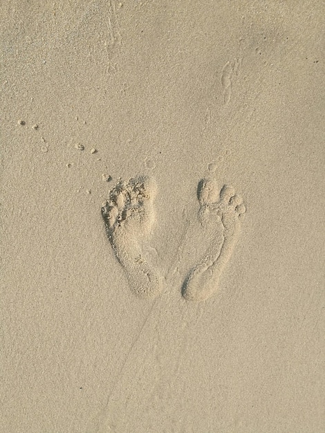 Direttamente sopra la foto delle impronte sulla spiaggia sabbiosa