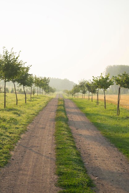 Dirt Road