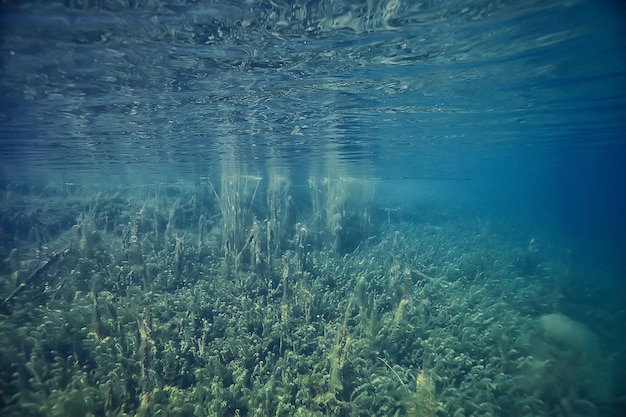 disastro ecologia fiume sott'acqua / paesaggio inquinamento ecologia sott'acqua