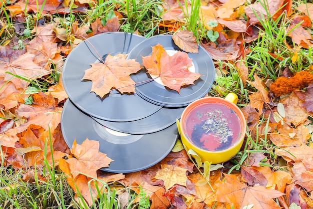 Dischi in vinile Vntage e tazza di tè in ceramica su foglie d'autunno.