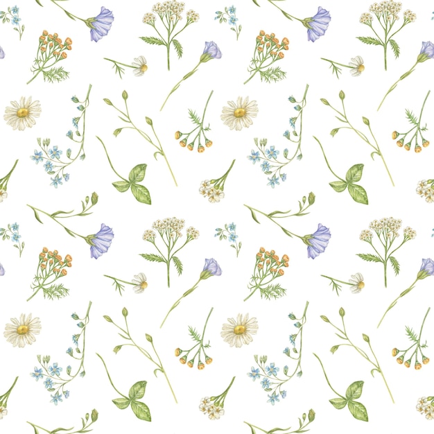 Disegno ad acquerello senza cuciture con fiori selvatici di camomilla lino yarrow forgetmenot tansy