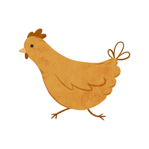 Disegno animato di pollo domestico, illustrazione digitale di uccelli da fattoria disegnati a mano per poster di design tessile