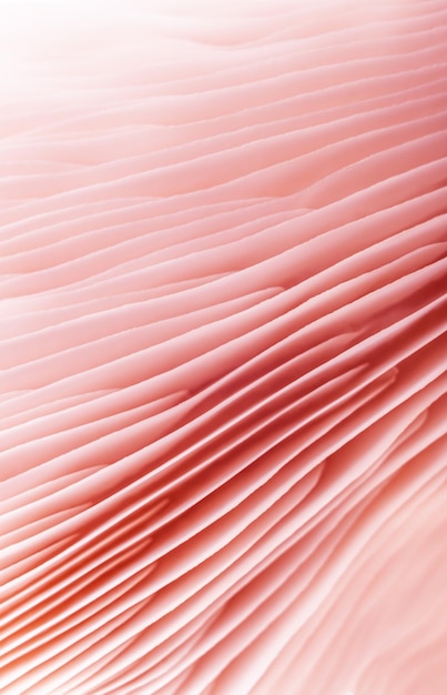 disegno di funghi micologia delicato sfondo rosa astratto