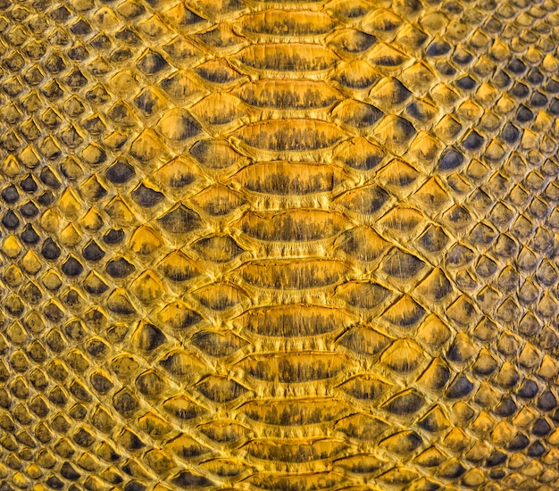 Disegno di struttura della pelle di serpente giallo