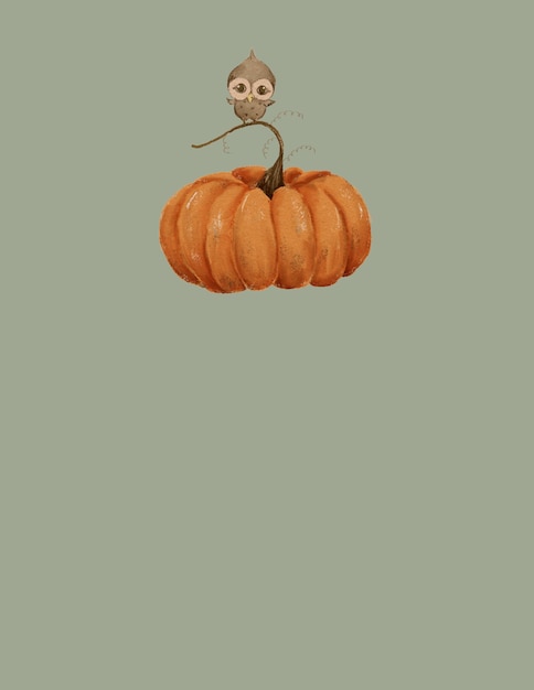 disegno di una zucca arancione con un uccellino