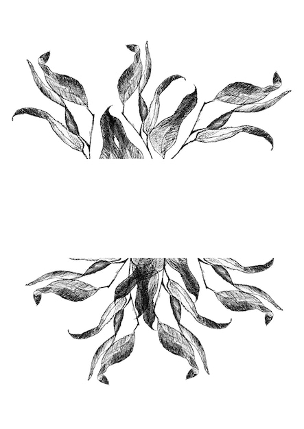 Disegno in bianco e nero di rami con foglie e banner bianco per il testo.