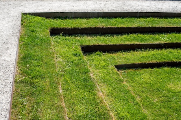 Disegno paesaggistico minimalista con gradini di erba verde