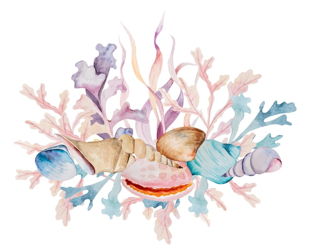 Disposizione ad acquerello a base di alghe e conchiglie isolate Bouquet subacqueo Illustrazione per biglietti d'auguri inviti di nozze sulla spiaggia d'estate stampa artigianale