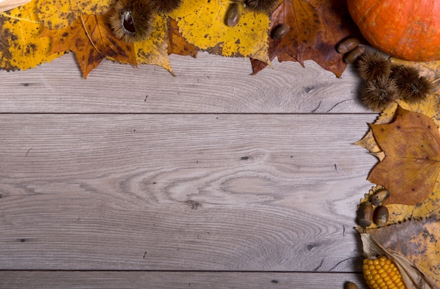 Disposizione autunnale con mais e foglie secche