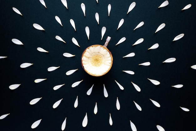 Disposizione creativa dei petali della margherita intorno al fiore bianco della gerbera in una tazza di caffè