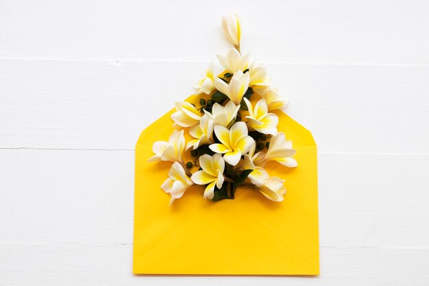 disposizione dei fiori del frangipani in busta gialla su legno bianco