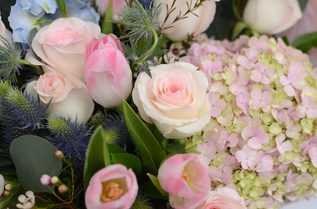 Disposizione dei fiori della rosa di rosa su fondo bianco