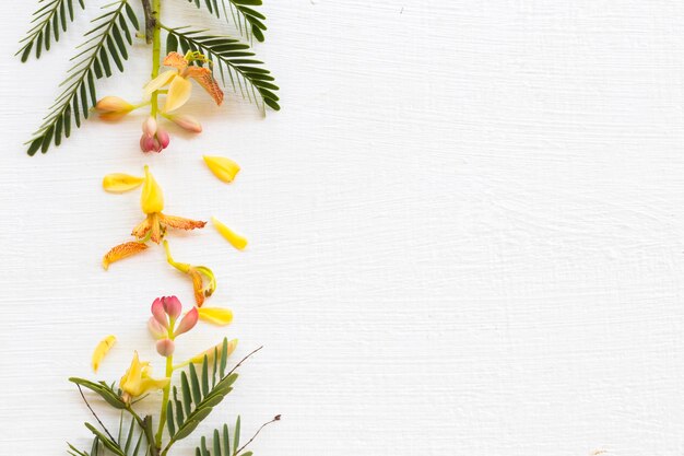 disposizione dei fiori di tamarindo stile cartolina piatta