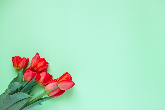 Disposizione dei tulipani luminosi rossi su sfondo verde