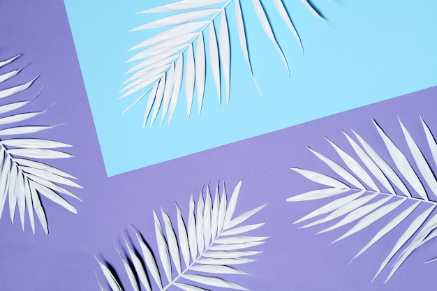 Disposizione delle foglie di palma bianche