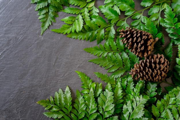 Disposizione di natura creativa fatta di foglie tropicali. Distesi. Concetto di estate