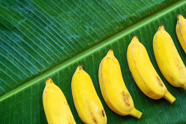 disposizione laica di banane gialle su una foglia di banana verde. Cibo ecologico