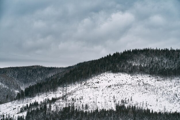 Distante inverno panorama di cresta di montagna con cime rocciose Drammatica vista delle montagne con vertice innevato Tatry polacco in inverno