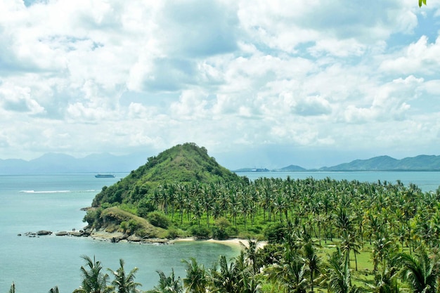 Distesa di palme da cocco e colline con bellissime spiagge